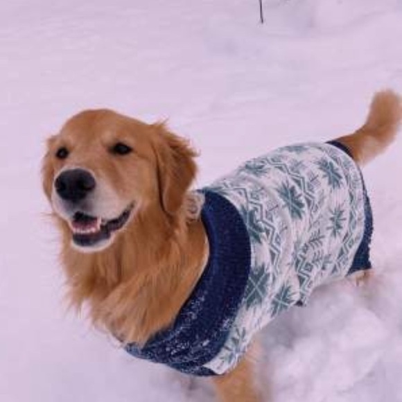 Knit Snowflake Cozy Dog Sweater NWT Size Large - Picture 8 of 14